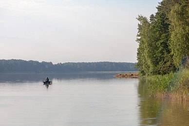 Отдых без лечения