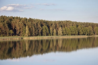 Путевки отдых без лечения